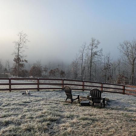 Great Little Guest Suite With Private Entry & Deck! Pet Friendly & 30 Mins To Nashville! Ashland City Extérieur photo