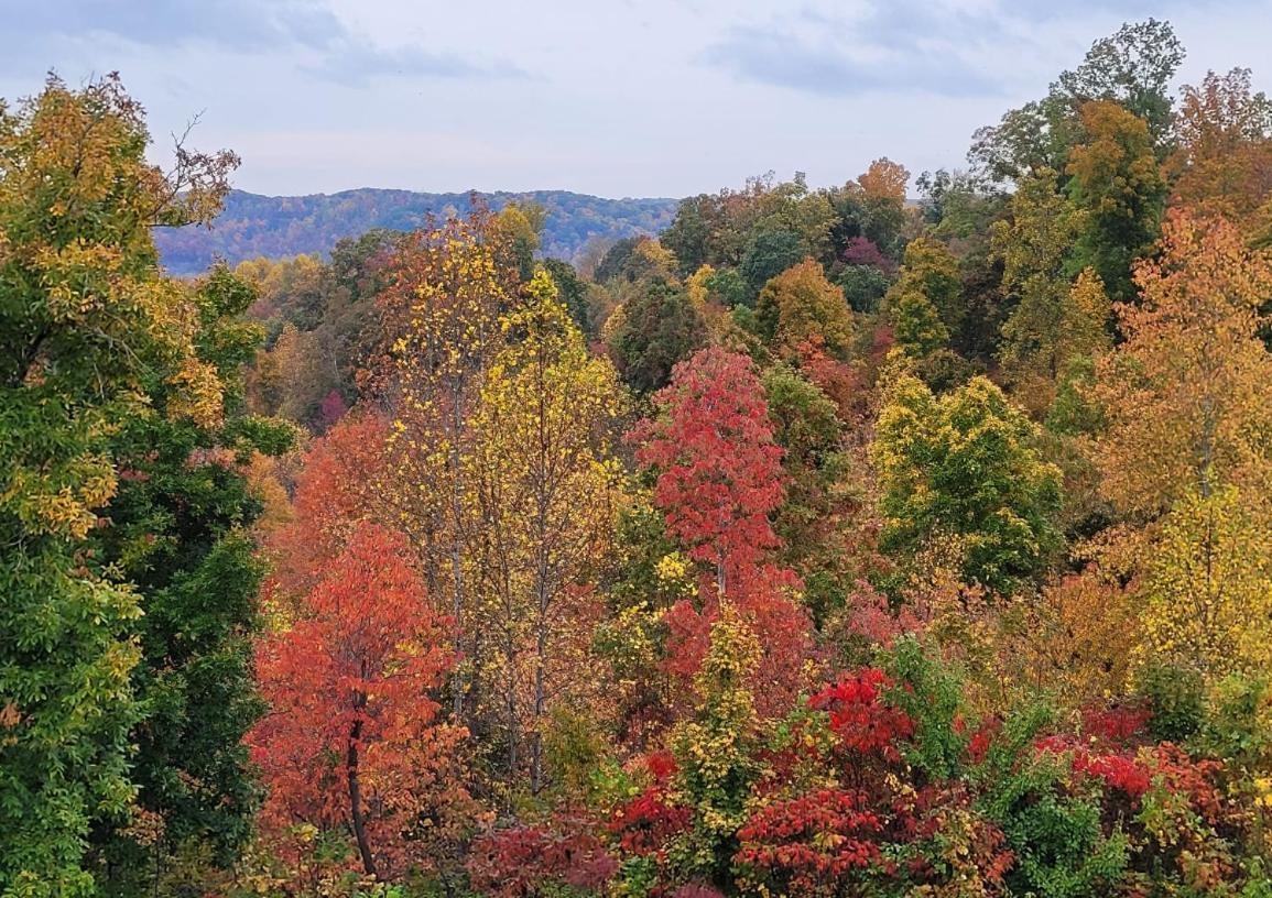 Great Little Guest Suite With Private Entry & Deck! Pet Friendly & 30 Mins To Nashville! Ashland City Extérieur photo