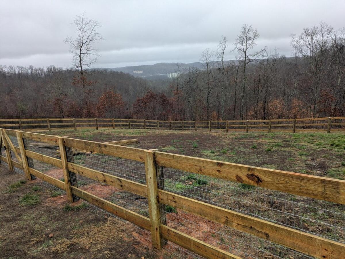Great Little Guest Suite With Private Entry & Deck! Pet Friendly & 30 Mins To Nashville! Ashland City Extérieur photo