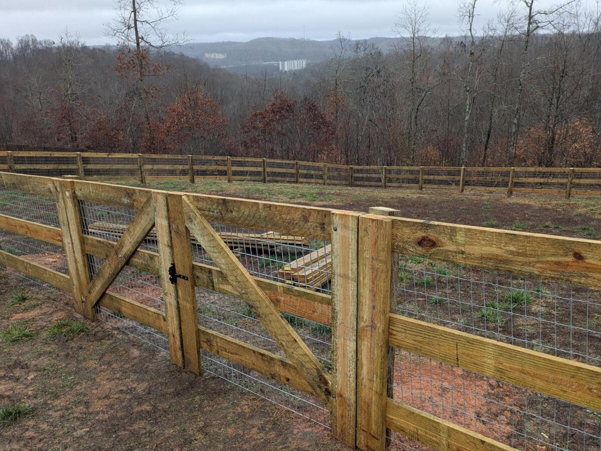 Great Little Guest Suite With Private Entry & Deck! Pet Friendly & 30 Mins To Nashville! Ashland City Extérieur photo